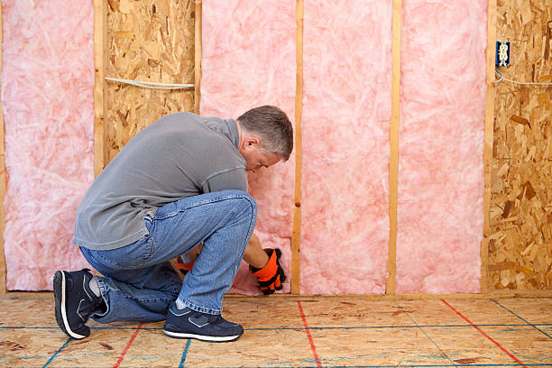 Best Insulation Maintenance and Repair in Lake City, GA